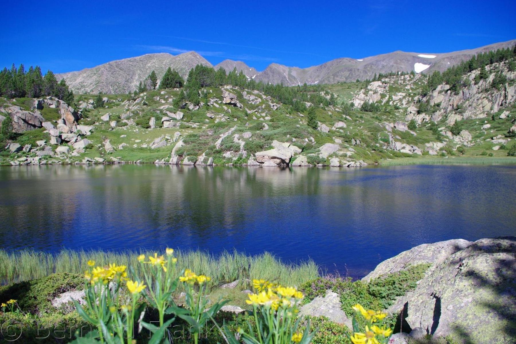 Studio Ecureuil 2 Pers Au Coeur De La Montagne La Llagonne Dış mekan fotoğraf